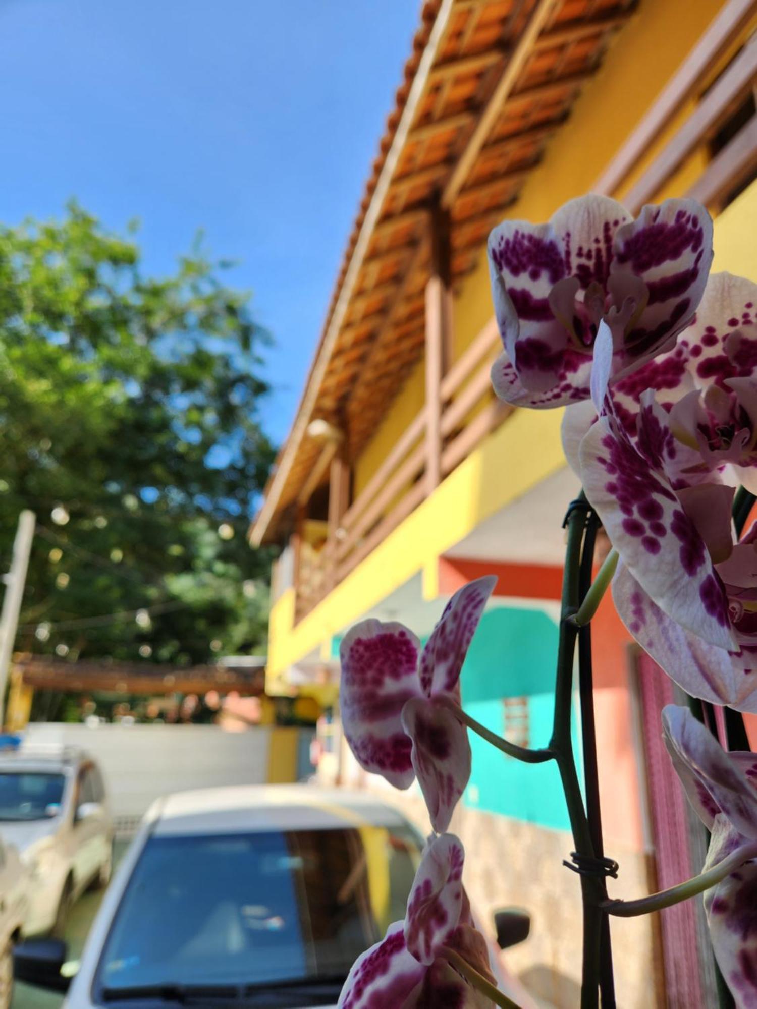 Pousada Morena Raiz Ubatuba Extérieur photo